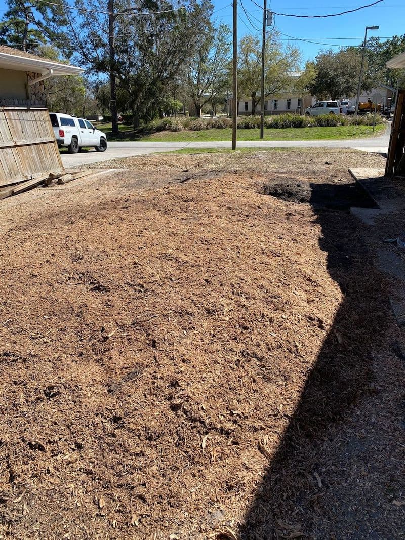 Stump grinding project