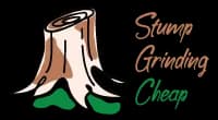 Stump Grinding Cheap — Home