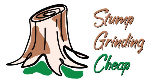 Stump Grinding Cheap