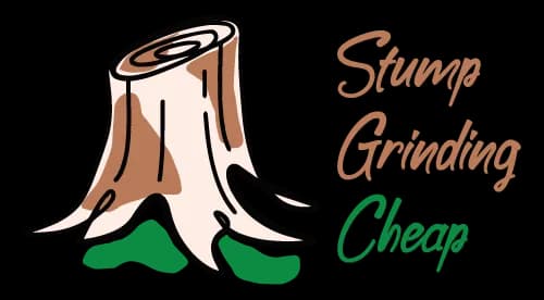 Stump Grinding Cheap