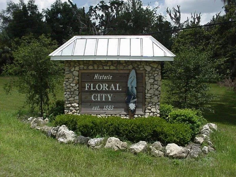 Floral City stump grinding