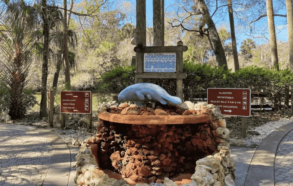 Homosassa Springs stump grinding