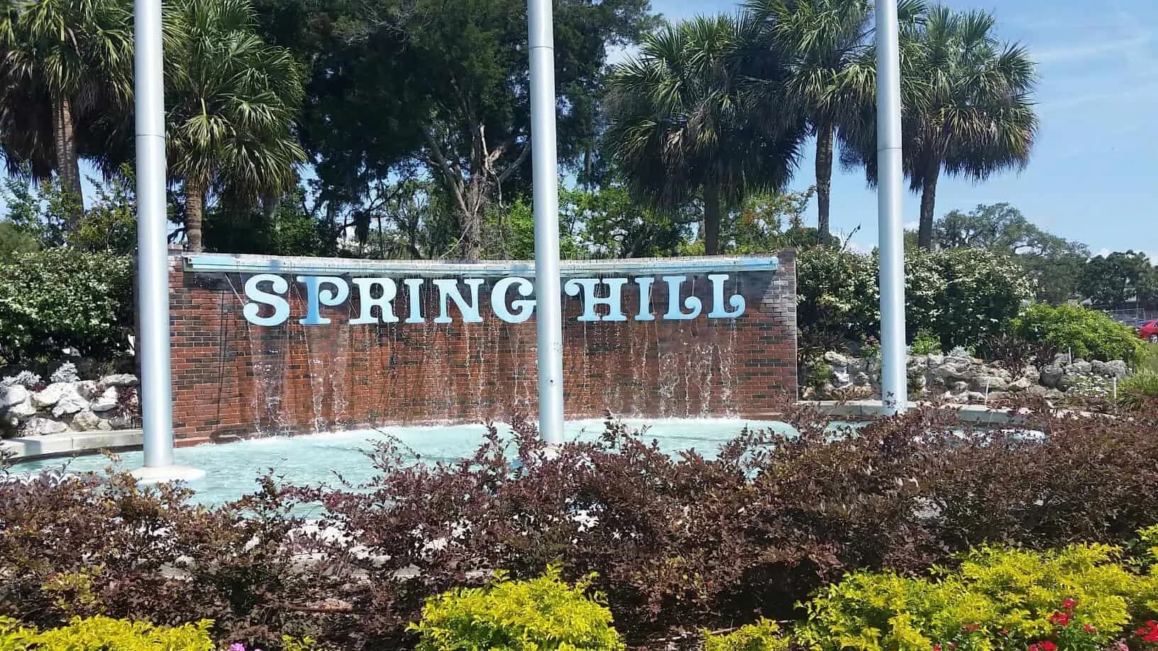 Spring Hill stump grinding