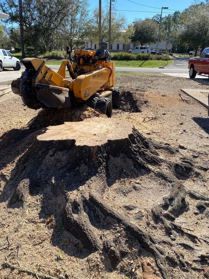 Stump being ground down by machine