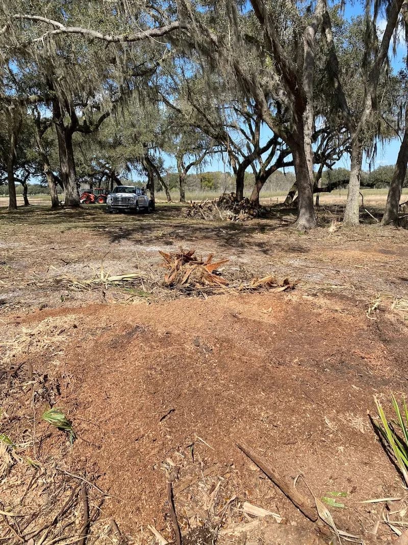 Stump grinding in Citrus County, FL