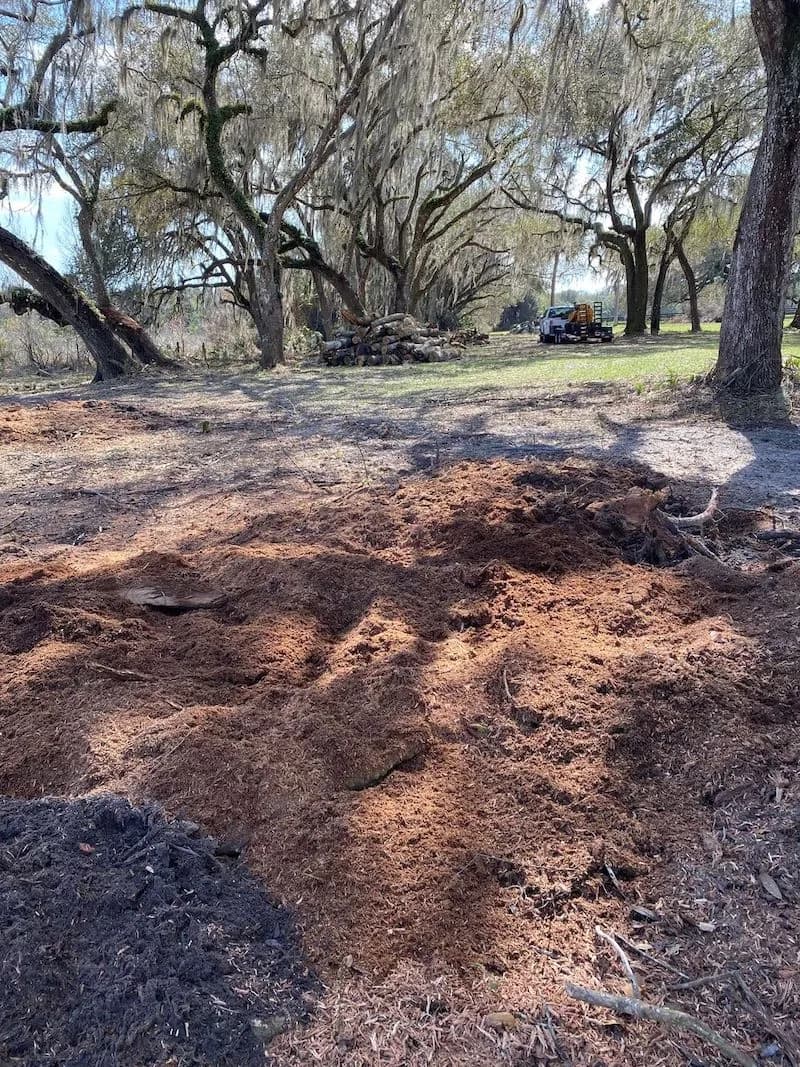 Commercial stump grinder at work on an affordable stump grinding job