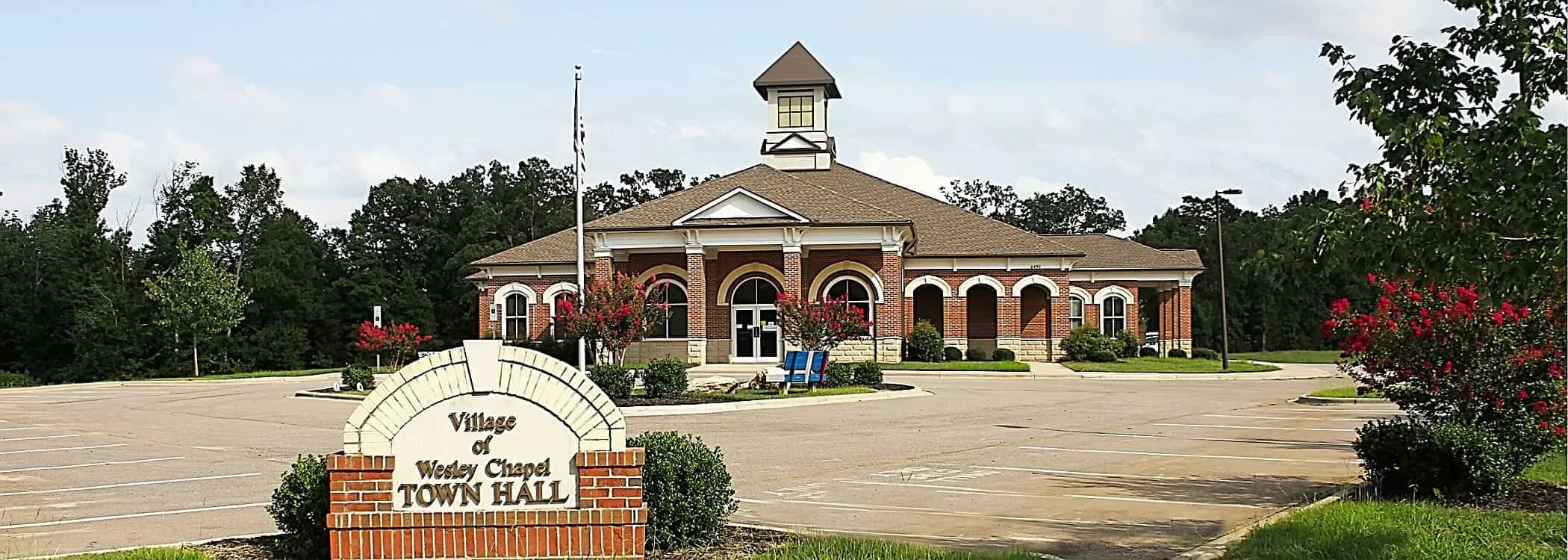Wesley Chapel stump grinding